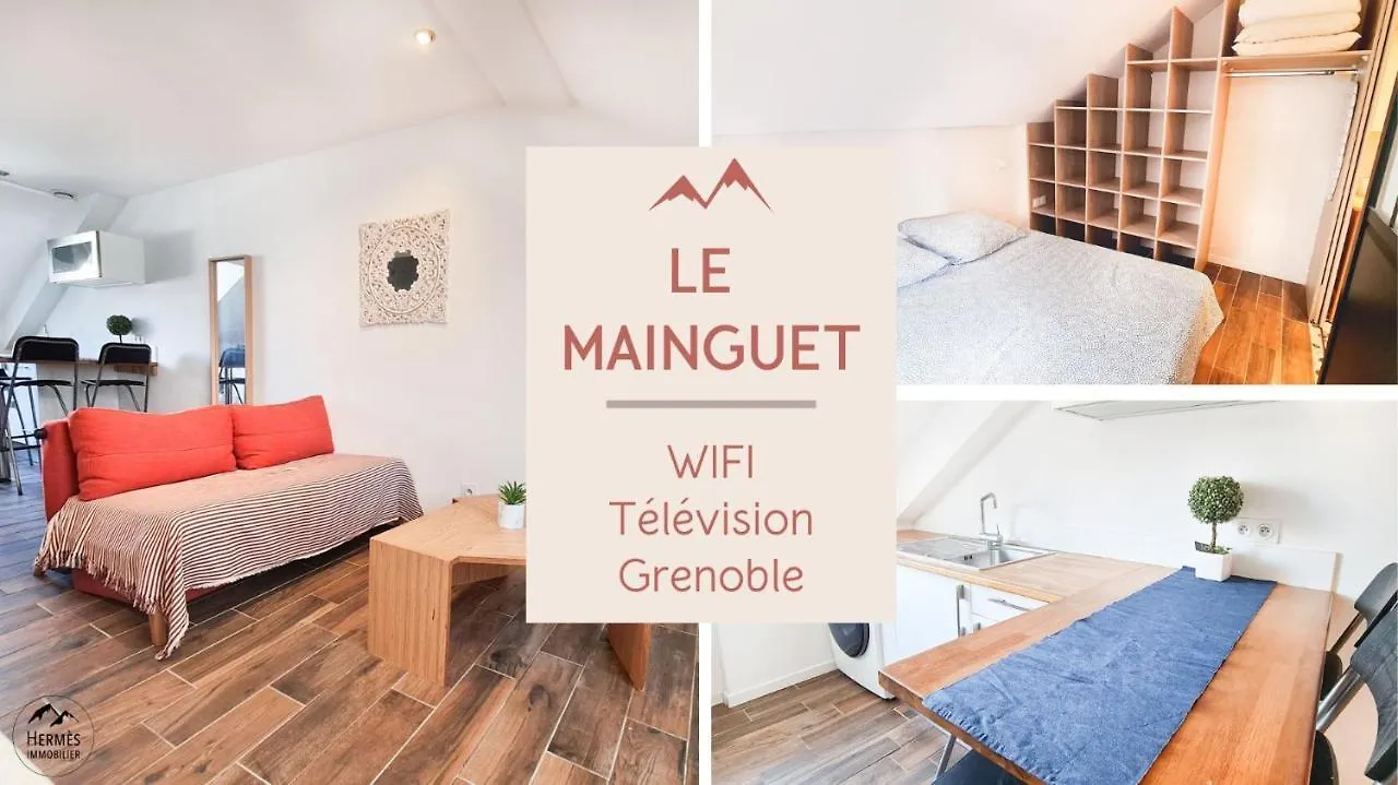 Le Mainguet - Appartement Cosy - Grenoble